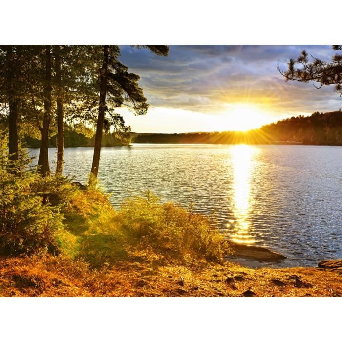 Papier Peint Photo Intisse 18529 Coucher Soleil 350x260cm 7 Les Animaux Beach Mer Ocean Nature Jungle Foret Dune Paysage Afrique Achat Vente Papier Peint Papier Peint Photo Intisse Cdiscount