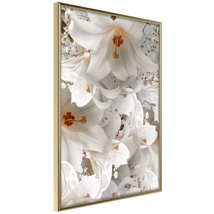 Étagères Murales avec étagère 2 pcs Multicolore 40 x 20 x 6 cm