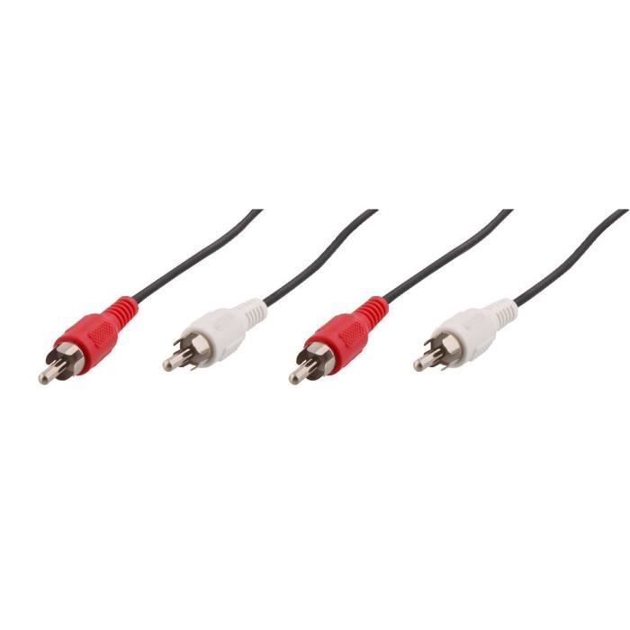 Cable euroconector m·le / m·le 1,5 m - T'nB