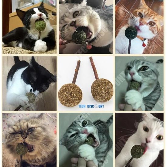 Td Sucette A Herbe A Chats Seche Jouet Boule Poudre Bio Cataire Sechee Nourriture Sachets Boule Menthe Animal De Compagnie Frais Achat Vente Herbe A Chat Td Sucette A Herbe