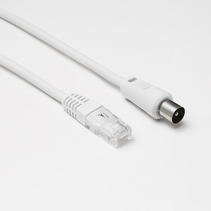D2 Diffusion Câble RJ45 mâle vers coaxial mâle Longueur 2.00m - CAT 6 ...