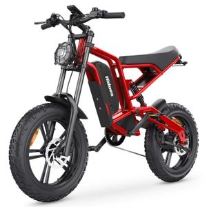 VÉLO ASSISTANCE ÉLEC Vélo électrique HIDOES B6 - 1200W - Batterie 48V15Ah - 20*4.0”- Suspension et freins hydrauliques - Shimano 7 Vitesse