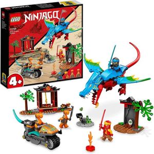 ASSEMBLAGE CONSTRUCTION Lego 71759 Ninjago Le Temple du Dragon Ninja, Ense