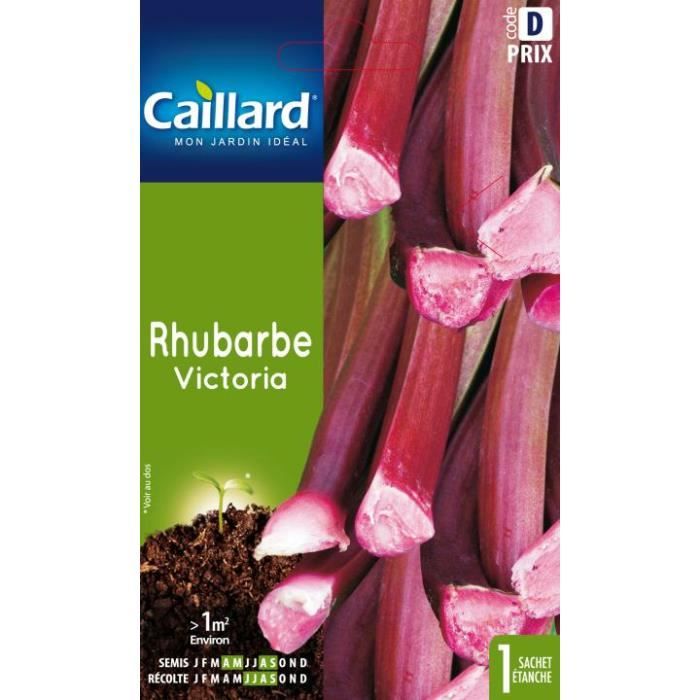Rhubarbe Victoria