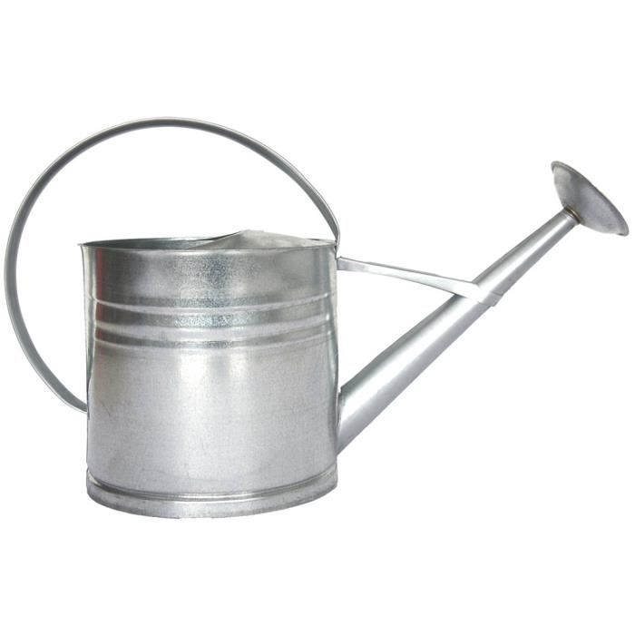 Esschert Design arrosoir décoratif 62,5 cm zinc 10 litres argent