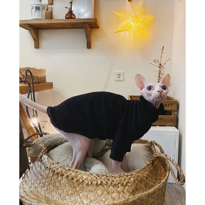 Vetement sphynx new arrivals