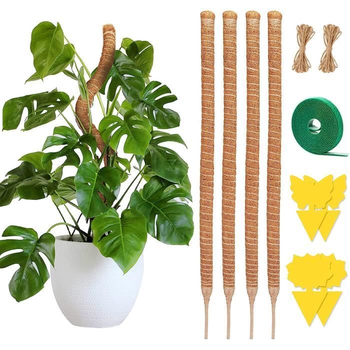 2 Tuteurs Pour Plantes Grimpantes 100 Cm - Support En Fibre De Coco Avec Corde Et Attaches