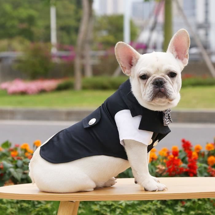 Manteau Robe robe de mariage chien Couple costume t petit chien