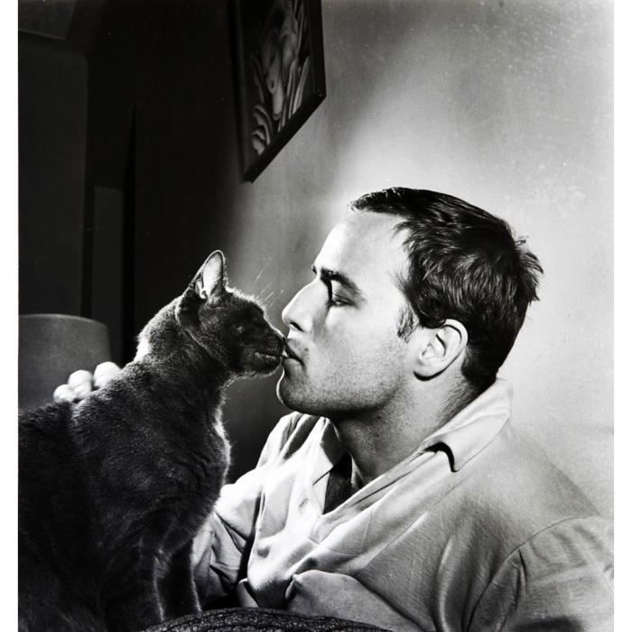 Poster Affiche Marlon Brando Chat Noir Mignon Acteur Cinema Photo Vintage 31cm X 33cm Cdiscount Maison Poster Affiche Marlon Brando Chat Noir Mignon Acteur Cinema Photo Vintage 31cm X 33cm Cdiscount Maison