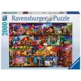 Ravensburger - 16685 - Puzzle Classique - Le Monde des Livres - 2000 Pièves 16685-1