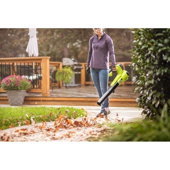 Souffleur Sans Fil Puissant 21V Makita Compatible, 5 Vitesses, Moteur Brushless, Batterie 5C 2000mAh Incluse, Idéal Jardin & Garage - Jardin