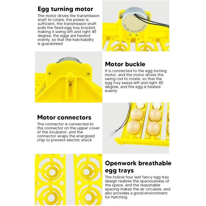 24 œufs Incubateur de Poulet Automatique Numérique Volaille Éclosion Couveuse Incubation