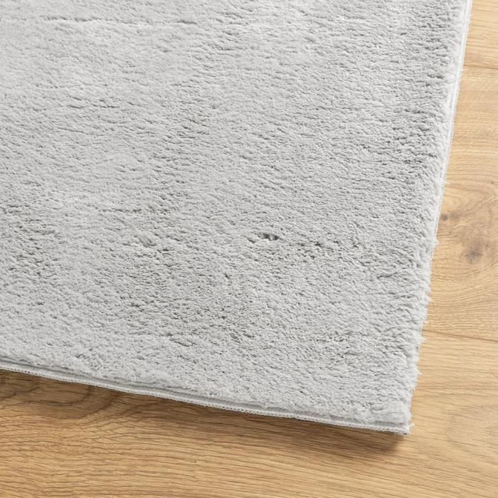 Sour Lemon Tapis à Poils Longs Doux Et Moelleux Pour Chambre à Coucher, Salon, Lavable, Antidérapant, Extra Large, Tapis Pelucheux Et Moderne, Pour Chambre à Coucher, Salon, 240 X 340 Cm, Beige
