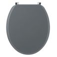 Abattant WC Woody Wirquin 20717953, gris clair mat-0