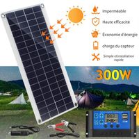 Panneau solaire WELAN 300W avec contrôleur 100A pour toiture solaire