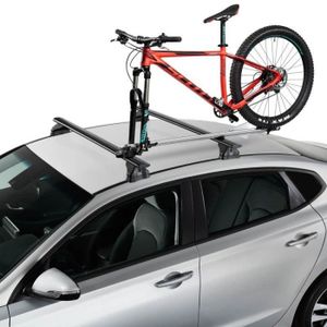 PORTE-VELO Porte-vélo 1 Vélo sur toit en Aluminium - Cruz Cri