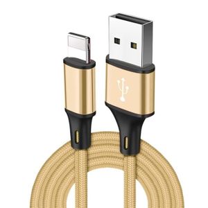 CÂBLE TÉLÉPHONE Câble USB à Charge Rapide pour iPhone,13,12,11,Pro
