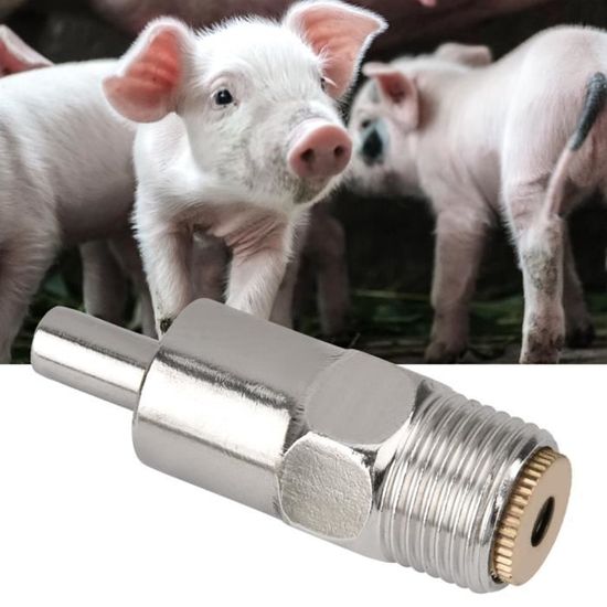 Lot De 5 Abreuvoirs à Mamelon En Acier Inoxydable Pour Porcs, Bovins, Chevaux - Économie D'Eau, Facile à Nettoyer