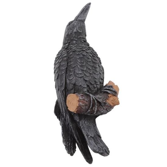 Achat Figurine Corbeau Sur Crane Et Grimoire Gothique (17cm) Pas Cher