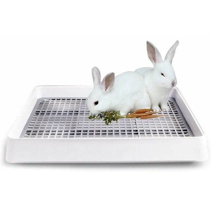 Meilleurs prix pour Petit bac à litière avec cage grillagée pour rats hamsters furets lapins et cochons dInde