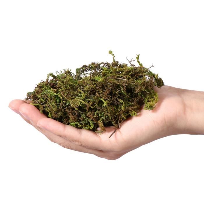 2 Paquets De Simulation De Lichen De Mousse Artificielle Faux Plantes Vertes Accessoires De Decoration De Pot De Fleur Pour Le Jardi Achat Vente Fleur Artificielle Cdiscount