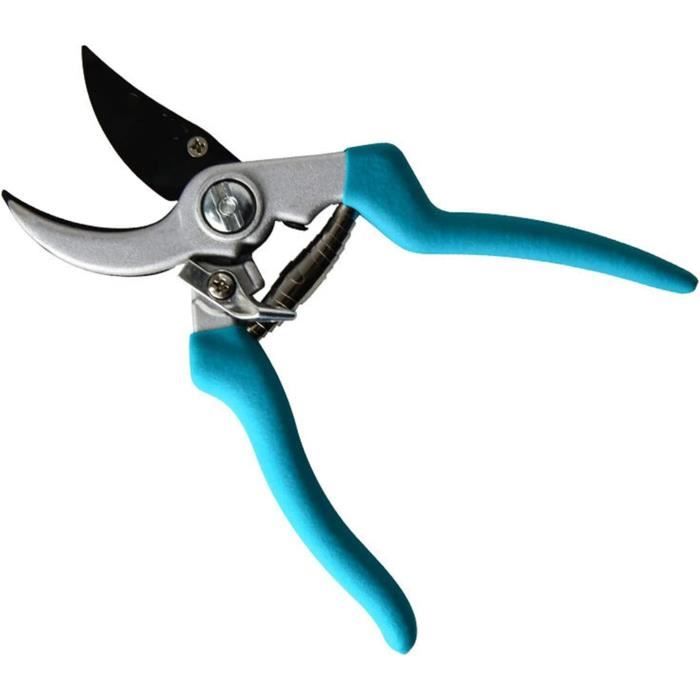 Spécialistes Résistant Pourriture Du Pied Cisaillement Mouton Mouton Cheval Chevre Sabot Cisailles Taille Taille Floral Fleuriste Jardin Ciseaux Machoires Pointues 203 Longueur