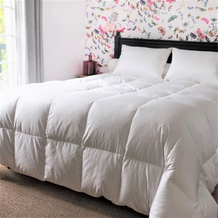 CASTEX COUETTES NATURELLES Couette -  - 240x220 cm - 90% Duvet de Canard - Bithermique - Anti-acariens 