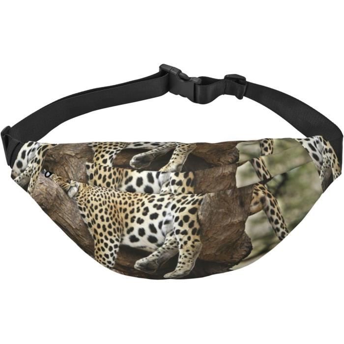 Ceinture De Course 2 Pièces – Porte-téléphone – Néoprène – Étanche – Réglable 22-50 Cm – Pour Homme/femme – Bleu/vert