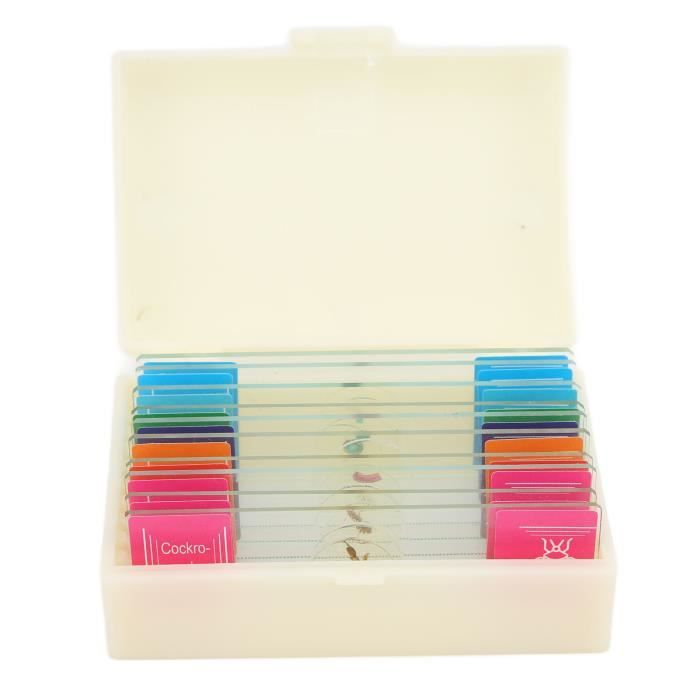 Lot De 100 Lames Microscope Verre + 5 Compte-gouttes - Dimensions 25,4 X 76,2 Mm, Prêtes à L'emploi