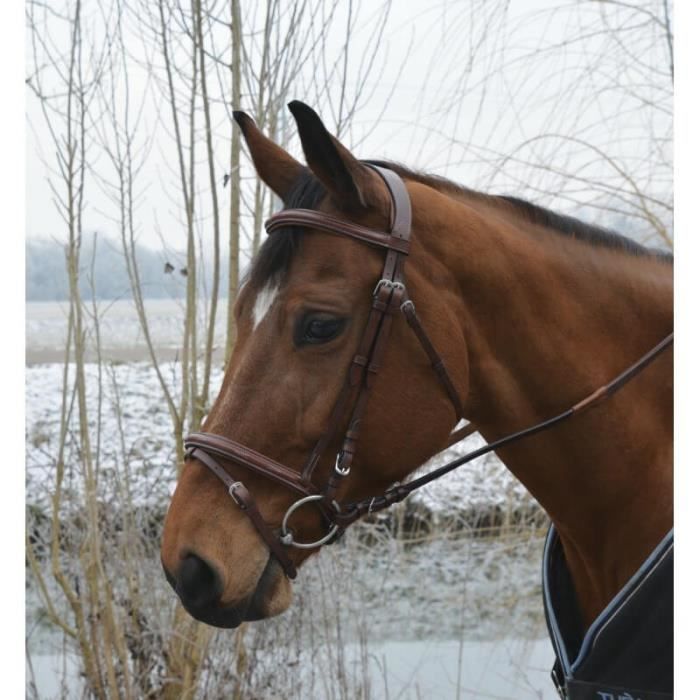Muserolle Bitless Eric Thomas Pro - Cuir Havane, Matelassée Et Doublée - Équipement Cheval Sans Mors