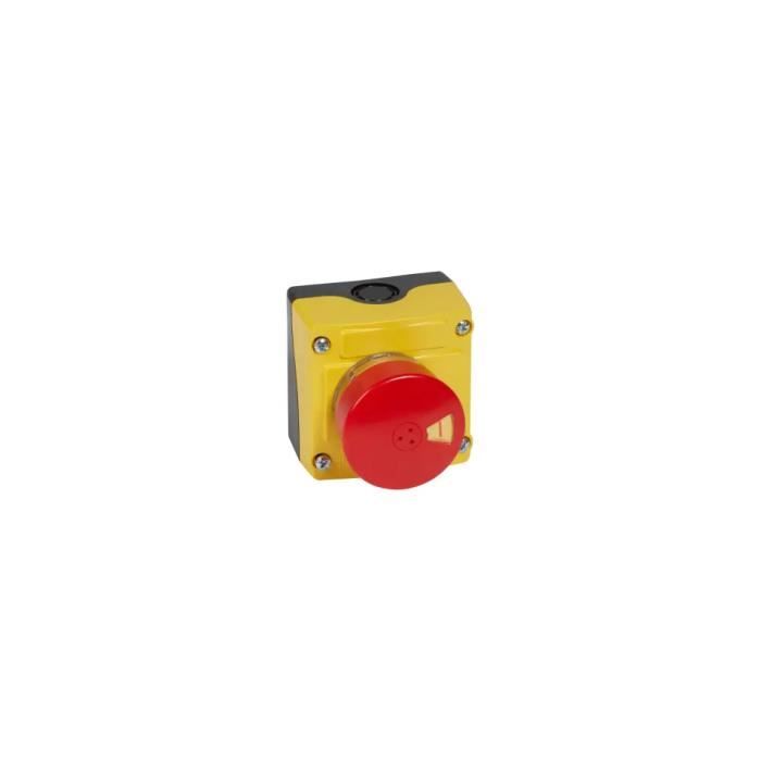 Boîte à Boutons étanche IP32 - 2 Boutons Momentanés - Pour Grues, Portes Roulantes - Coque ABS - 10A 400V~