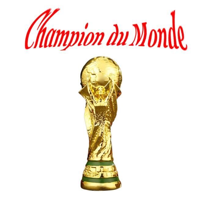 Champion du monde 2018 Réplique trophée Coupe du monde 36 cm - Cdiscount