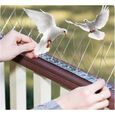 Pics dur Répulsif Oiseaux Efficace contre Pigeons Colombes | Stop aux Fientes Excréments Déjections | Toit Balcon Anti-Nuisibles-1