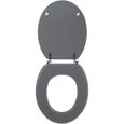 Abattant WC Woody Wirquin 20717953, gris clair mat-1