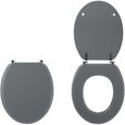 Abattant WC Woody Wirquin 20717953, gris clair mat-2