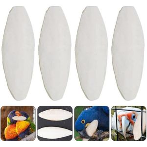 Toyvian 6pièces Bloc De Calcium Naturel Pour Tortues Et