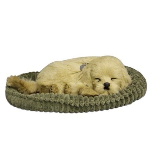 Perfect Petzzz 4908 Peluche Chien Golden Retriever 5519717