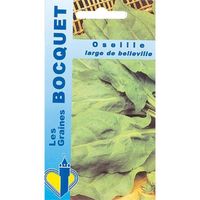 Sachet de  Oseille large de Belleville - 3 g - légume feuille - LES GRAINES BOCQUET