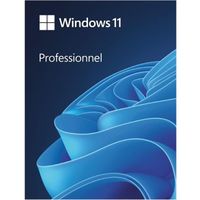 Windows 11 DVD Pro 64 Bits
