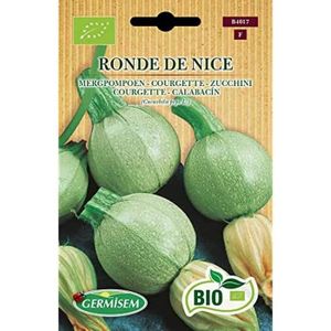 GRAINE - SEMENCE Bio Graines Courgette RONDE DE NICE A150