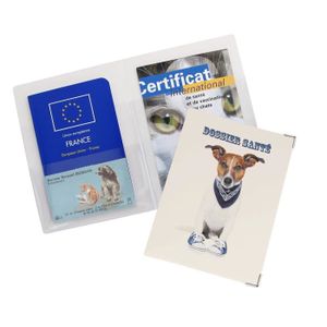 Protège carnet de santé pour chien, etui passeport, chiens en balade rose,  nom brodé - Un grand marché