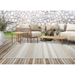 TAPIS Tapis de Salon ou Terrasse en beige 80x150 | Tapis plat moderne | Rectangulaire | Interieur et Exterieur - The Carpet Ottowa