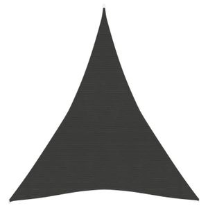 VOILE D'OMBRAGE Voile d'ombrage triangulaire ZJCHAO en PEHD 160 g/m² - Anthracite - 4x5x5 m