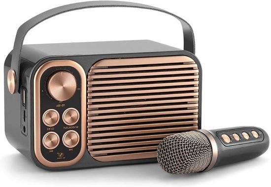 PRONEXT Machine à Karaoké Avec écran D'affichage Des Paroles Pour Adultes, Haut-parleur Bluetooth Avec 2 Micros UHF Rechargeables, Tablette Intégrée De 14" Et WiFi, Lumières DJ, Système De Karaoké