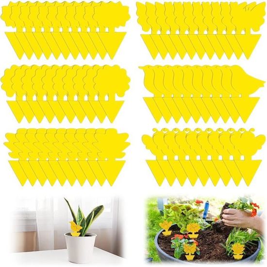 Lutte Biologique Jardin Yuandream Pièges à Insectes, 60 Pièces Anti Moucherons Anti Moucherons Interieur Lutte Biologique Jardin Yuandream Pièges à Insectes, 60 Pièces Anti Moucherons Anti Moucherons Interieur