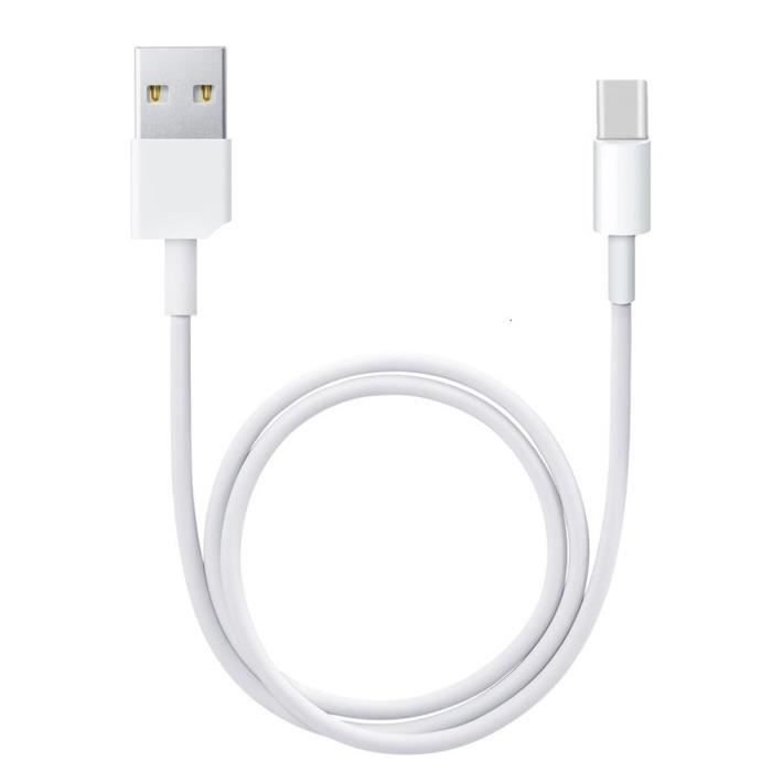 Câble USB Type C Long pour Blackview BV7000 Pro Charge Rapide - Câble de Recharge-Synchronisation Rapide - 1 Mètre
