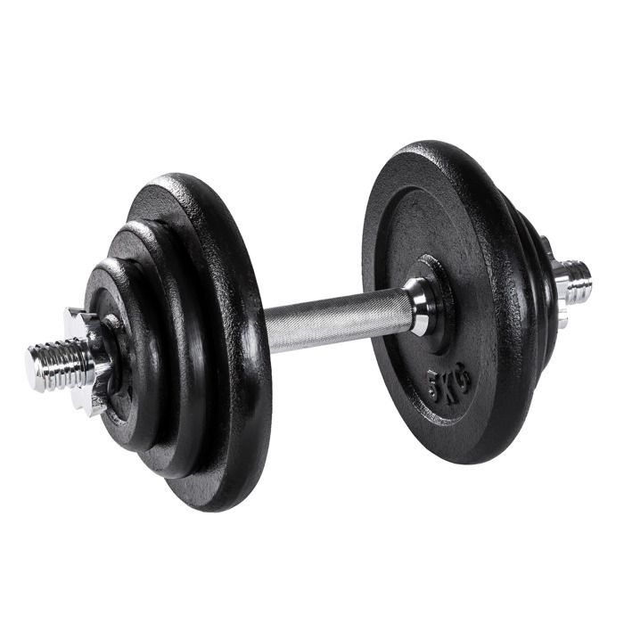 TECTAKE 1 Haltère Court et 6 Poids en Acier et en Fonte 2 x 1,25 kg + 2 x 2,5 kg + 2 x 5 kg