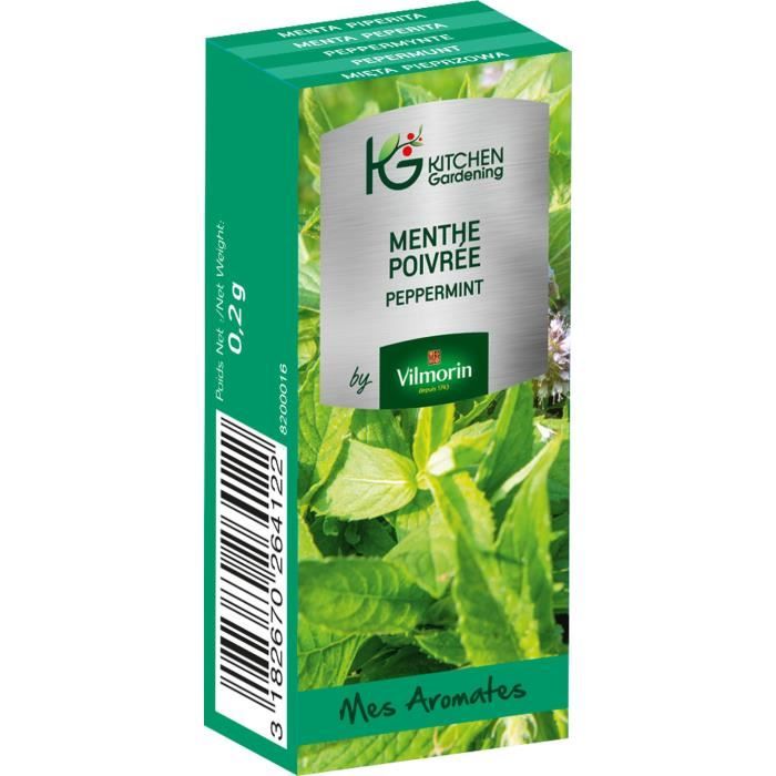 KITCHEN GARDENING Graines de menthe poivrée