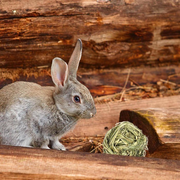 Jouets à mâcher pour Petits Animaux  Jouets dLapin pour Animaux Compagnie tissés en NaturelleFriandises à ronger