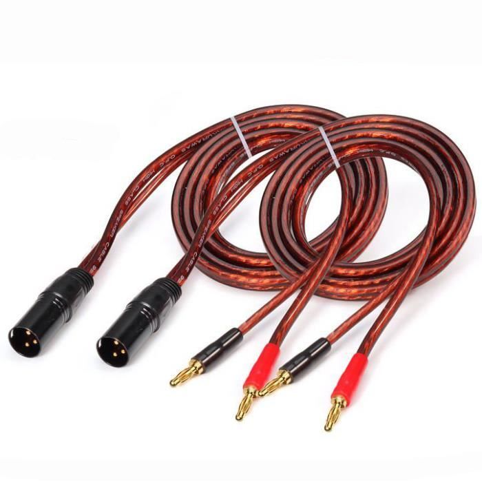 Une paire 10 mètres Câble XLR à double banane pour enceinte Active Premium, 3 broches, câble